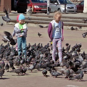 Дети и голуби