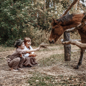 ������� ����. �����������. 